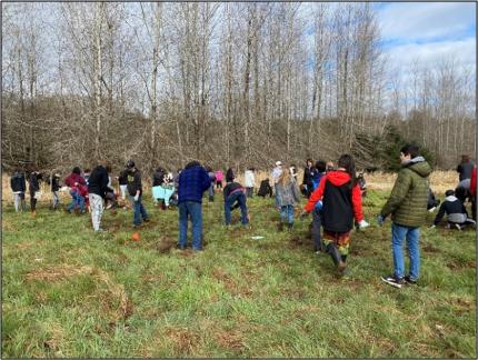 Middle school students planting native plants at the Discovery Bay Unit.
