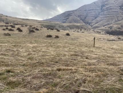 Blake Rimmelspacher mowed fields that had not seen any maintenance for years.    