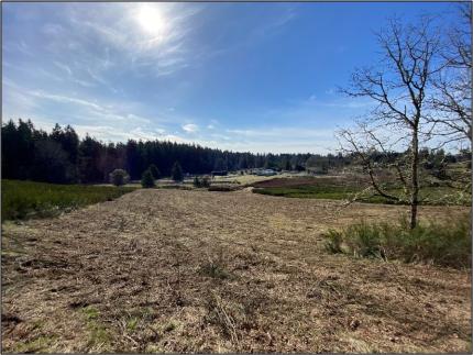 An area in the South Puget Sound Unit freshly mowed.