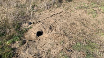 A hole in the dirt that is home to a pair of burrowing owls
