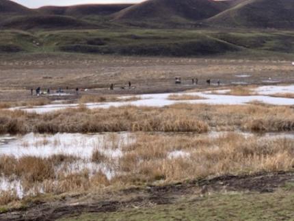 A wetland.