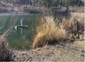 A boardwalk removed from a lake.