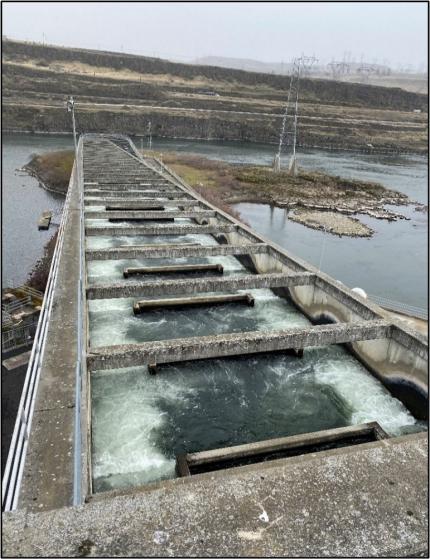 A view at the top of a fish ladder