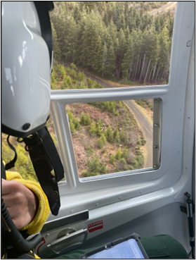 Biologist Stephens looking out from a helicopter.