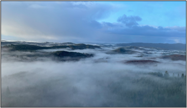 A fog at sunrise.