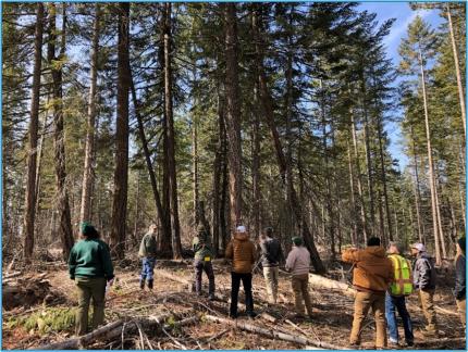 Several people be led on a tour through the woods.