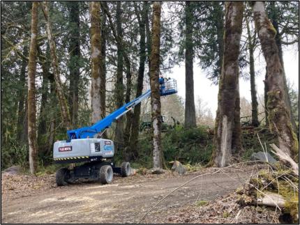 A person pruning trees on a lift.