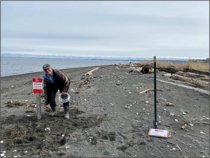 Biologist Ament updating wildlife area signage on the beach.