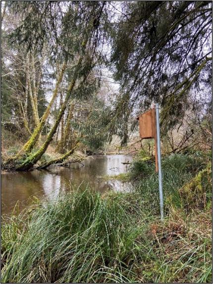 A wood duck box near water.