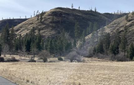 George Creek Barn