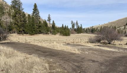 Buck rail fence constructed along edge of Campground 2 on the WT Wooten Wildlife Area 