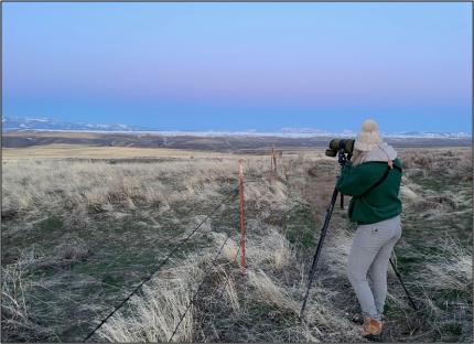 Biologist Jeffreys looking through a scope.