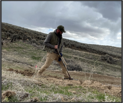 Biologist Cook working in a field.