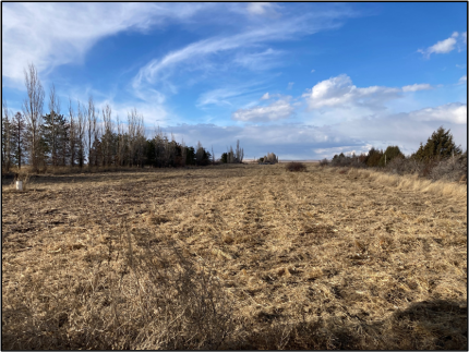 A supplemental food plot prepared for planting.