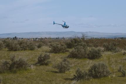 Aerial spraying at Byron