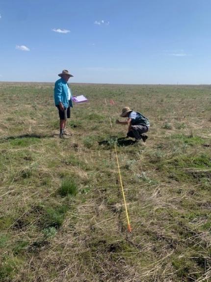 Two people data sampling in a field.