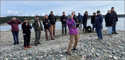 Staff and volunteers looking at Caspian terns on the Marrowstone Unit.