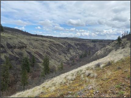 Eastern Klickitat canyon views.