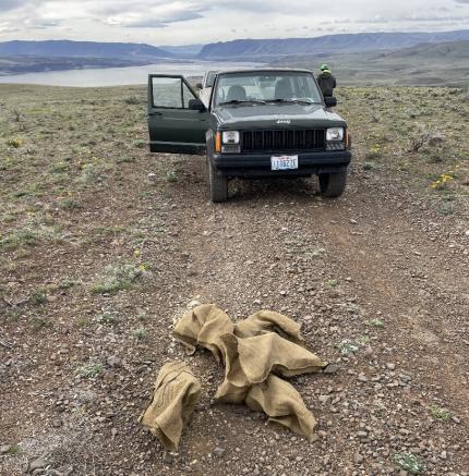 Five bags of petrified wood in front of a truck.