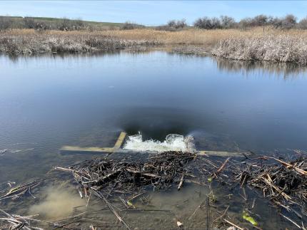 Lake Mesa Control Structure after improvements.