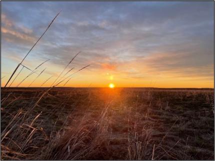 The beautiful sunrises following.