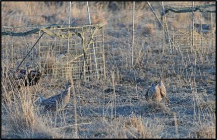 WDFW and Kalispel Tribe of Indians host free National Hunting and