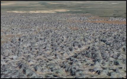 The images the drone takes are used to create a 3D rendering of the sagebrush landscape. 