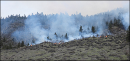 A cooperative burn between WDFW, DNR, and the USFS took place on the Sinlahekin Wildlife Area at the Fire Camp. 