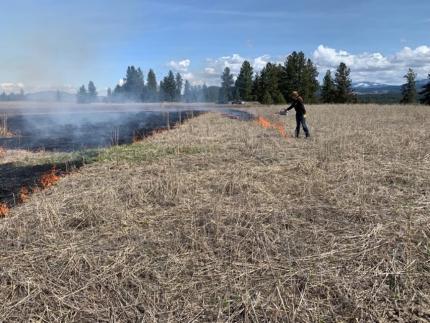 A control burn on a field.