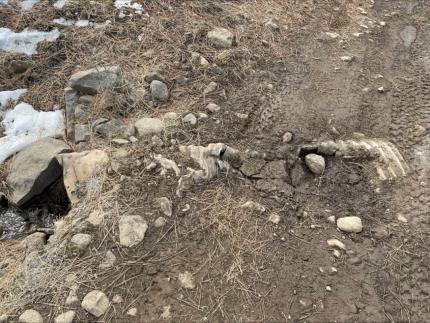 Natural Resource Technician Blore checked on the condition of culvert in need of replacement on Parke Creek Road