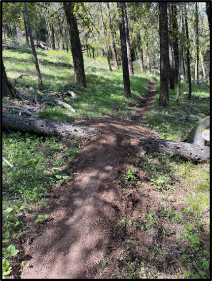 A mound on a ridge trail.