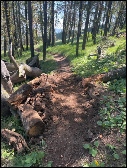 A trail cleared of a mound.