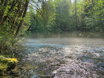 A morning view along the North Fork Stillaguamish River.