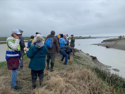 Two tours of Leque Island in the Skagit Wildlife Area.