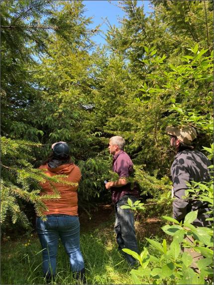 Discussing forest health at the Discovery Bay Unit.