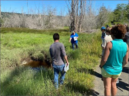 Tour of the estuary at Union River.