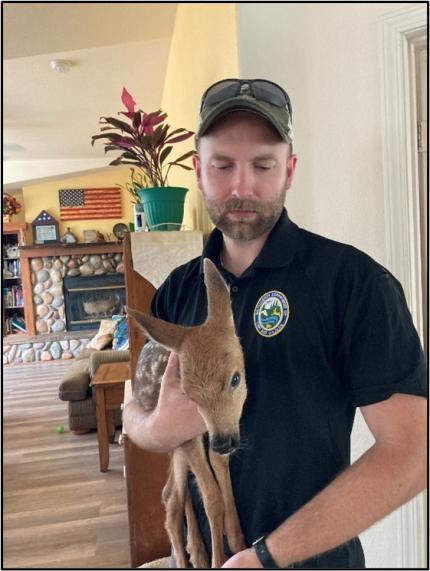 Jacobsen holding a fawn.
