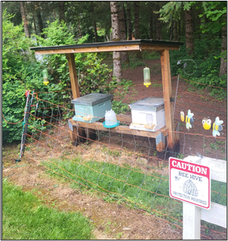 A beehive with portable electric fencing.