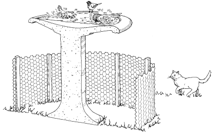illustrated diagram of a bird bath protected from cats by a fence