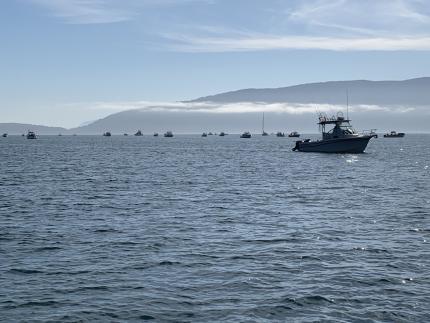 Marine Area 7 San Juan Islands salmon fishing