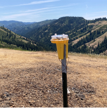 One of multiple fox lights deployed on a Touchette pack territory private cattle pasture.