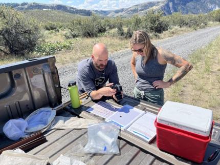 Habitat biologists Westerman and Kinnick take photographs of a bumblebee captured during a survey. 