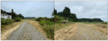 Before (left) and after (right) photos of the main trail at Irondale Beach. 