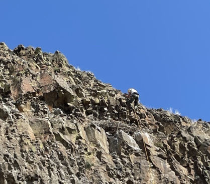 Rocky cliff face that was used by golden eagles for nesting.