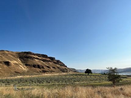 Cliffs along the Snake River.