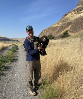 Biologist Brinkman with the male golden eagle nestling.