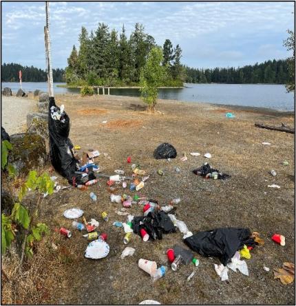 American Lake Access before cleanup