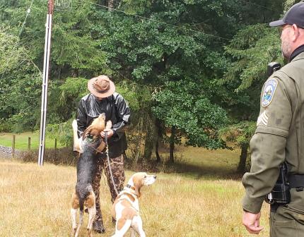 WDFW police officer looks on at two hound dogs and their trainer