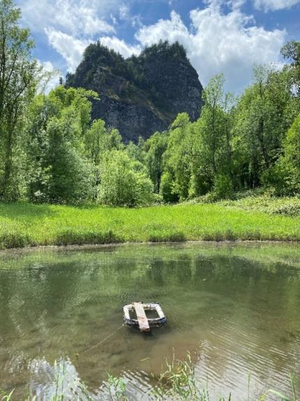 A clear pond with a basking trap