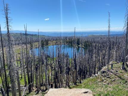 A view of a small lake